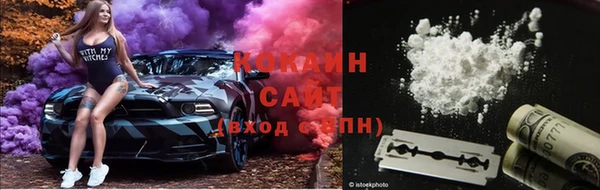 стафф Абаза