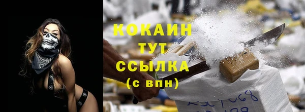 крисы Пересвет