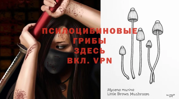 спиды Пестово