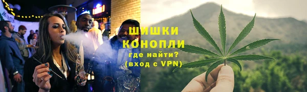 крисы Пересвет