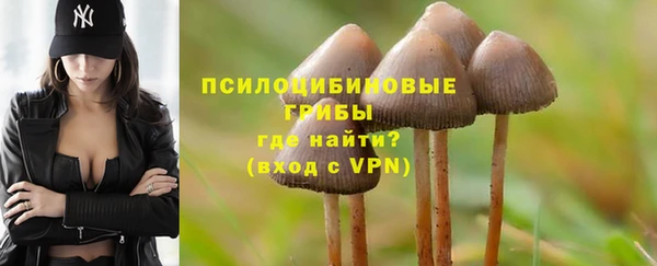 спиды Пестово