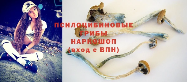 стафф Абаза