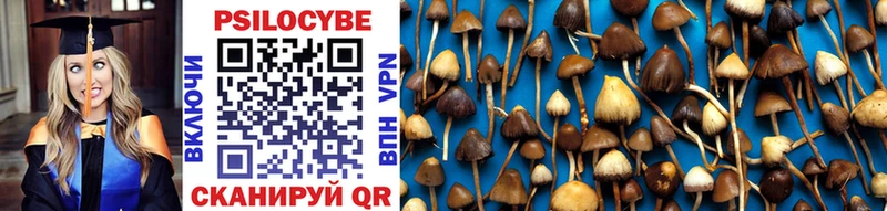 площадка официальный сайт  Питкяранта  Псилоцибиновые грибы Psilocybine cubensis  даркнет сайт 